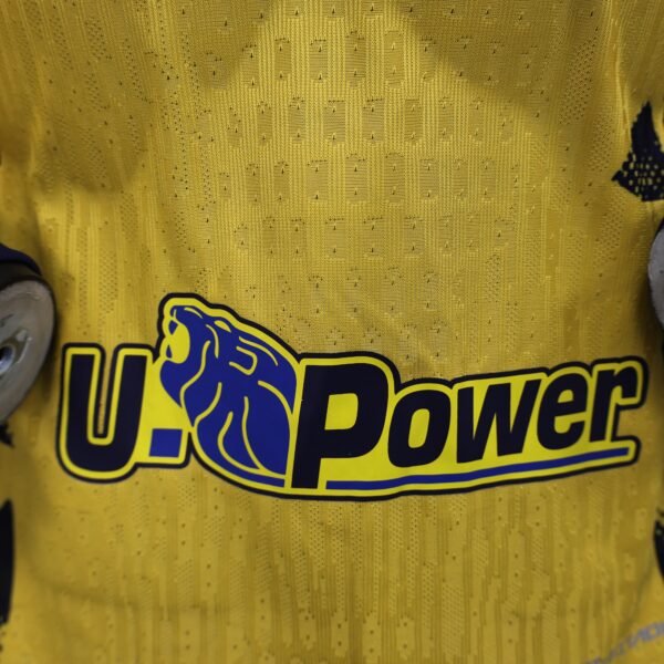 Inter Milan(camisa de jogador) - Image 8